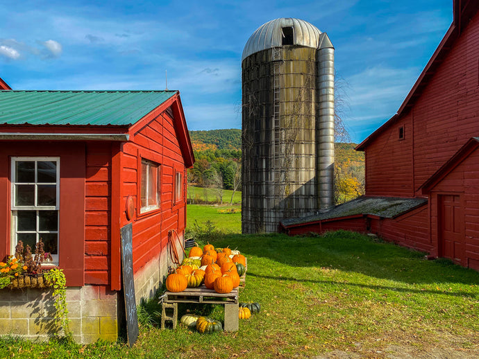 Exploring Farms for Sale in the U.S.: Opportunities and Considerations