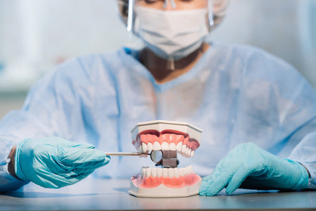 The Best Affordable Dental Insurance Options In 2024